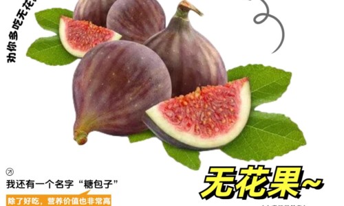 姜大枣葱白熬水喝的功效-葱姜大枣煮开了喝有什么功效和作用、葱姜枣熬水能治咳嗽吗 -葱姜大枣煮开了喝有什么功效网