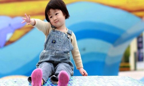 葱姜大枣煮开了喝有什么功效和作用、葱姜枣熬水能治咳嗽吗 -葱姜大枣煮开了喝有什么功效网